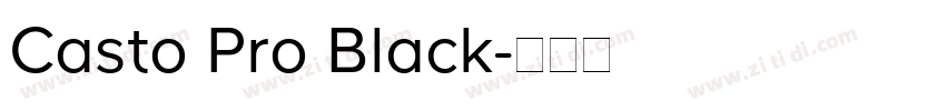 Casto Pro Black字体转换